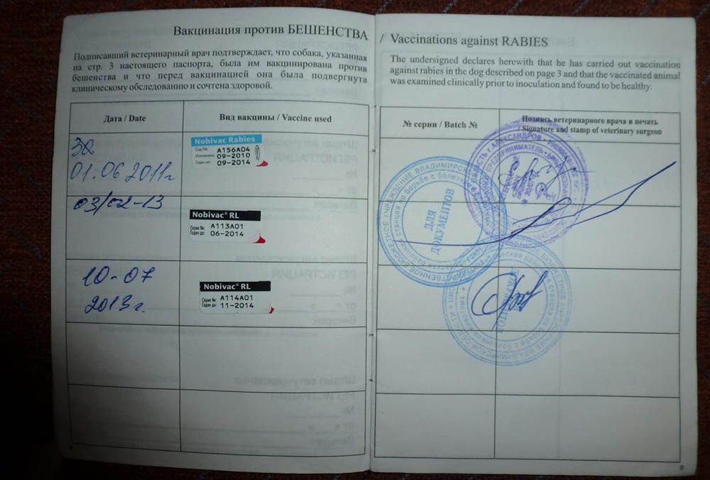 Сертификат о вакцинации собаки Информация о прививках