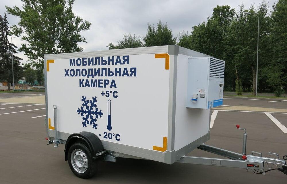 Прицеп автомобиля для транспортировки лекарств Прицеп с холодильной камерой