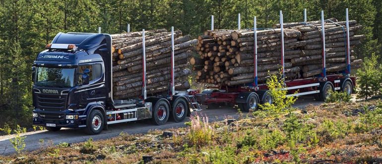 Перевозка леса автотранспортом